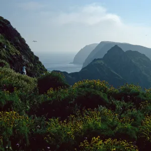 view of Middle Anacapa Island, East Anacapa Island