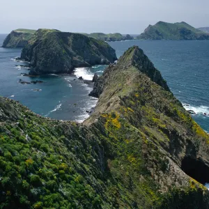 view of West & Middle Anacapa Islands, East Anacapa Island