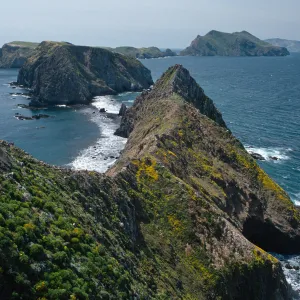 view of West & Middle Anacapa Islands, East Anacapa Island