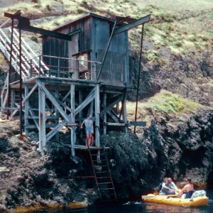 Landing Cove, Santa Barbara Island