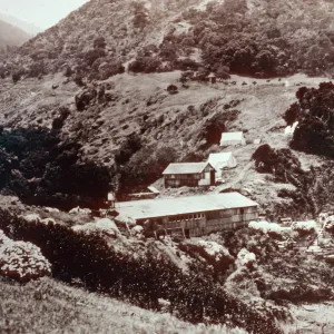 Pelican Bay, circa 1920, E.R. Blakley Album, Santa Cruz Island