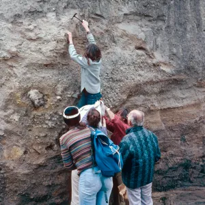 fossil hunting with Dan Axelrod, Cañada de Los Sauces, Santa Cruz Island