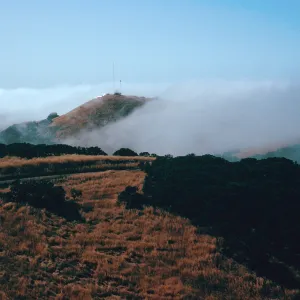 fog near Mount Pleasant, Santa Cruz Island