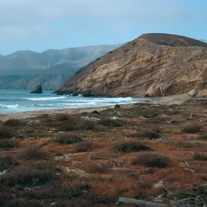 Sauces Beach, looking North, Santa Cruz Island