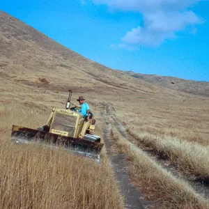 bulldozer, Dorian Devine, road to Fraser Point, Santa Cruz Island