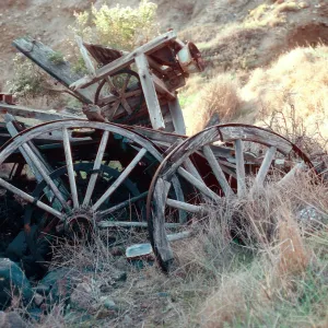 Wagon Gulch, near Christy Ranch, Santa Cruz Island