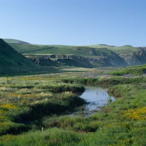 vernal pond, Christy Beach, Santa Cruz Island