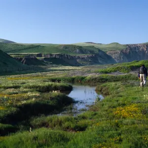 vernal pond, Christy Ranch, Santa Cruz Island