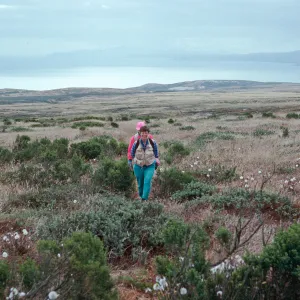 trail to San Miguel Peak, San Miguel Island