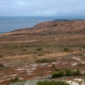 trail, West of San Miguel Peak, San Miguel Island