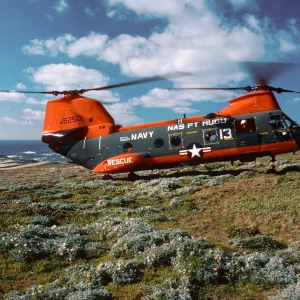 HH 46, West end of research station, San Miguel Island