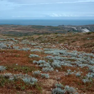 view from San Miguel Peak, San Miguel Island