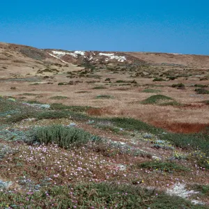 trail to East end, San Miguel Island