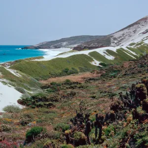 dunes, Cuyler Harbor, San Miguel Island