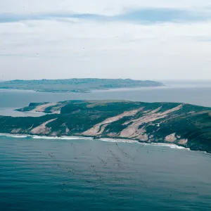 Northwest coast, San Miguel Island