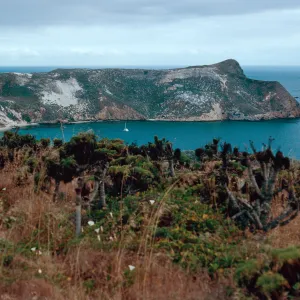 Cuyler Harbor view, San Miguel Island