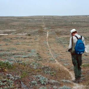 Scott Miller, trail between NOAA Station and Dry Lake, San Miguel Island
