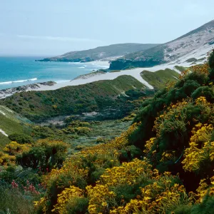 Cuyler Harbor, just East of Cañada Del Mar, San Miguel Island