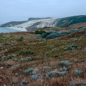 Cuyler Harbor, from slopes, West of Cañada Del Mar, San Miguel Island