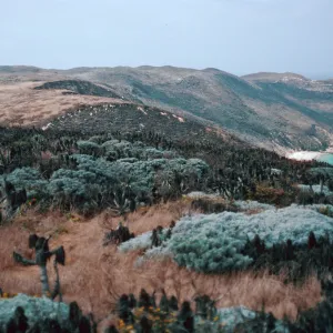 Slopes, West of Cañada Del Mar, San Miguel Island