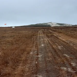 Dry Lake airstrip, San Miguel Island
