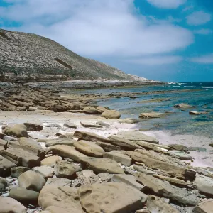 Red Eye Beach, San Nicolas Island