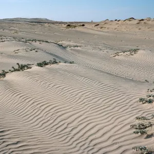 Southwest part of island, San Nicolas Island