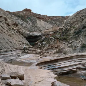 Celery Canyon, San Nicolas Island