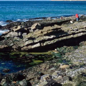 tide pools, NPS, Johnsons Lee site, Santa Rosa Island