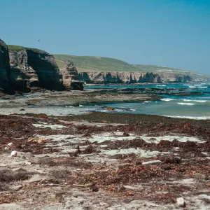 coastline, just West of Tecolote Canyon, Santa Rosa Island