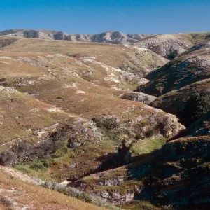 Lobos Canyon, Santa Rosa Island