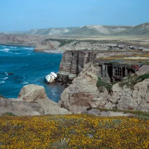 wreck of Pleiades, Orrs Camp, Santa Rosa Island