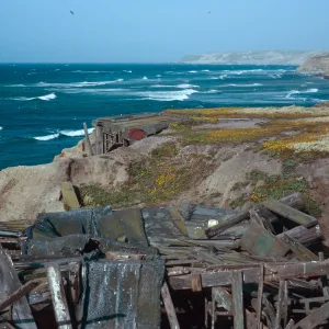 Orrs Camp, Santa Rosa Island