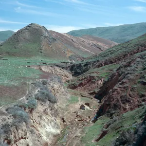 Tecolote Canyon, Santa Rosa Island