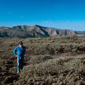 Bill, low chaparral Peak 1892, Santa Rosa Island