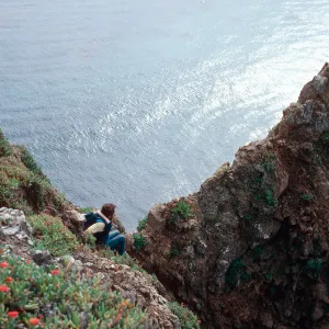 West end, 'Can he make it?', East Anacapa Island