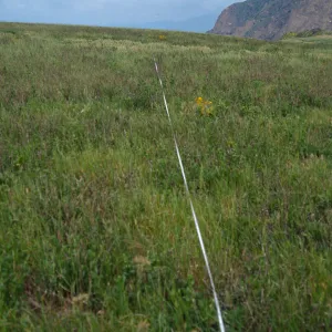Transect #4, looking West, Middle Anacapa Island