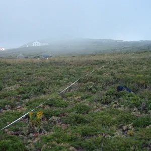 Transect #4, looking East, East Anacapa Island