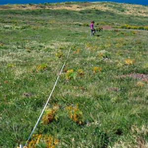 Transect #2, looking North, East Anacapa Island