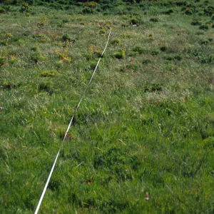 Transect #2, looking South, East Anacapa Island