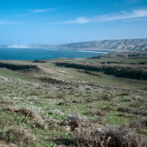 Beechers Bay, from Carrington pasture, Santa Rosa Island