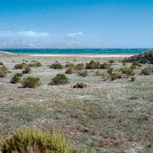 mouth of Old Ranch House Canyon, Santa Rosa Island