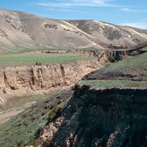 Arlington Canyon, Santa Rosa Island