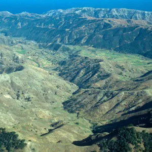 looking East in valley, East of Picacho Diablo, Santa Cruz Island