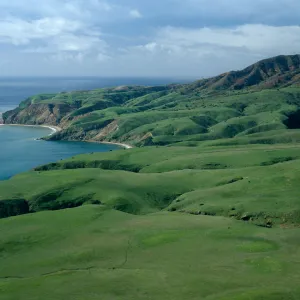 Southeast end, Smugglers airstrip, Santa Cruz Island