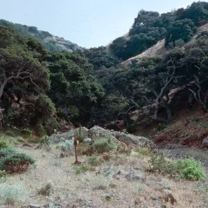 West Twin Canyon, Santa Cruz Island