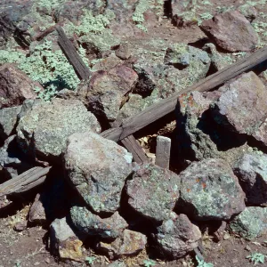Marker on top of Δ Alta 2 "1975 (?) DR PR" on stick, Santa Cruz Island