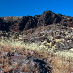 Red Mountain, North ridge, Santa Cruz Island