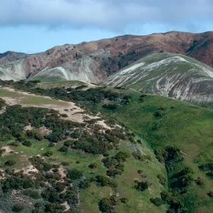 South side, just West of The Nature Conservancy/Gherini boundary, Santa Cruz Island