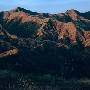 slopes, Southeast of Picacho Diablo, Santa Cruz Island